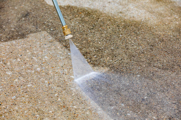 Best Soft Washing  in Elkader, IA