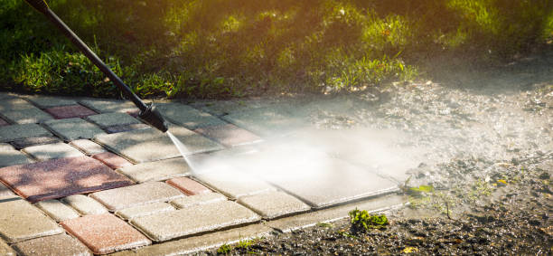 Best Roof Washing  in Elkader, IA